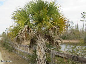 2424 HIGHWAY 2321, SOUTHPORT, FL 32409, photo 2 of 18