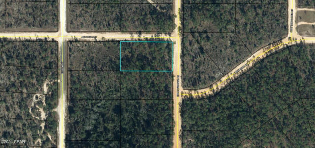 0 HOLLY SPRINGS AVENUE, ALFORD, FL 32420 - Image 1