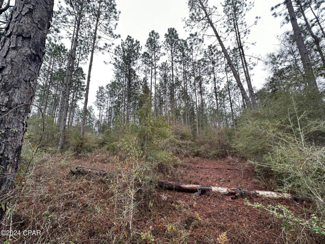 TRACT 6418 S MATTOX SPRINGS ROAD # 1, CARYVILLE, FL 32427, photo 1 of 6