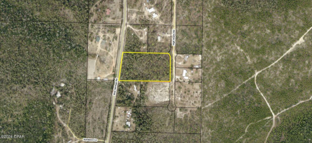 0 BLUE SPRINGS, YOUNGSTOWN, FL 32466 - Image 1
