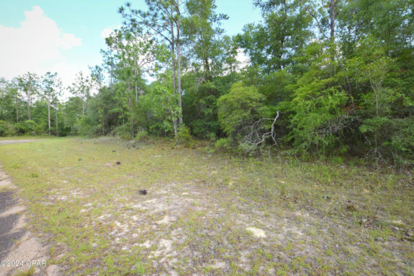 LOT 8 CONWAY COURT, CHIPLEY, FL 32428 - Image 1