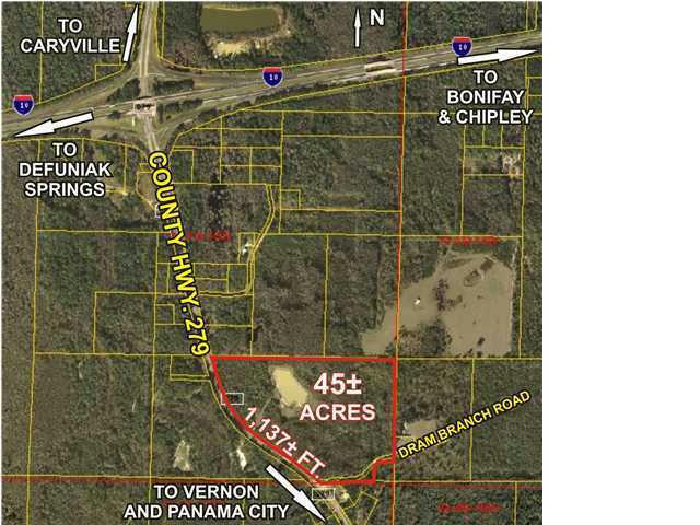00 PATE POND ROAD, CARYVILLE, FL 32427, photo 1