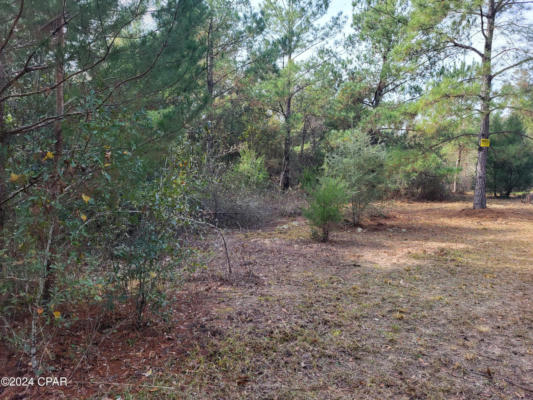 00 WOMBLE ROAD # LOT 7, ALTHA, FL 32421, photo 3 of 13