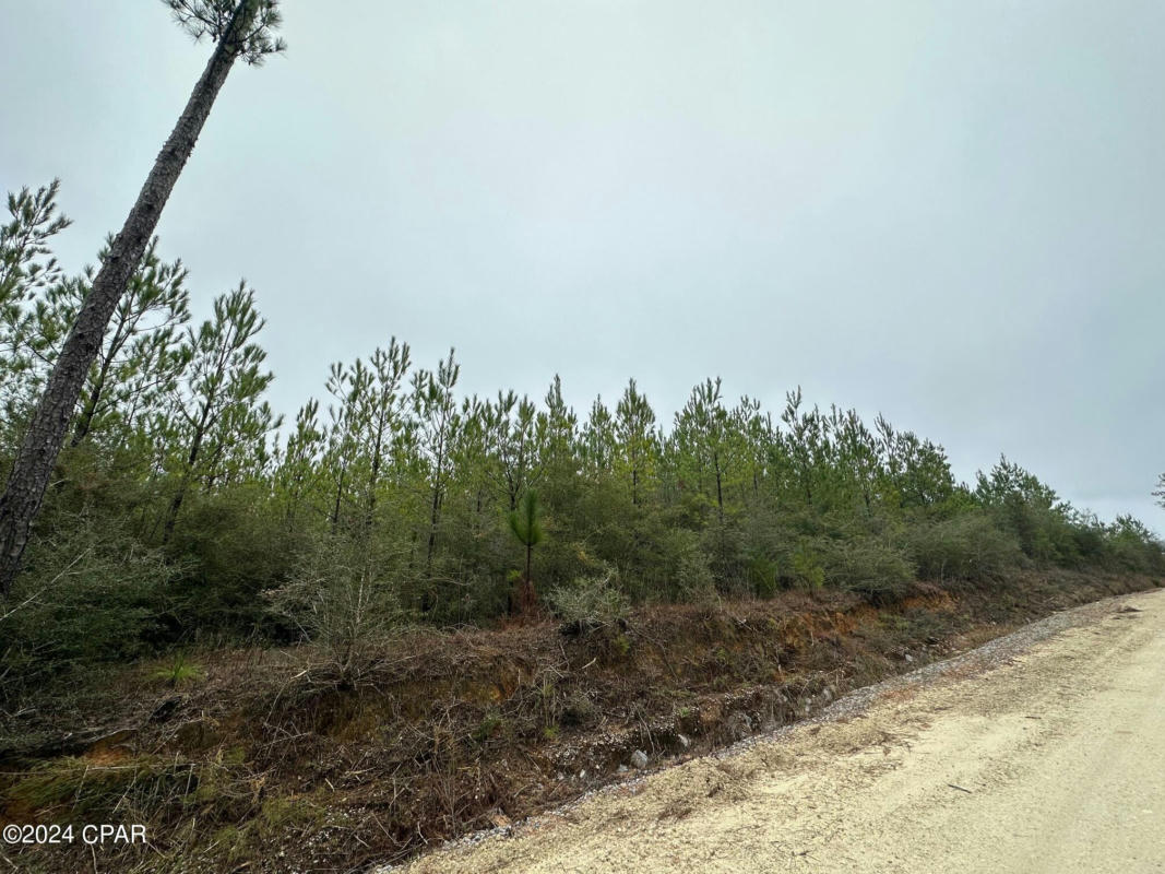 TRACT 6418 N MATTOX SPRINGS ROAD # 1, CARYVILLE, FL 32427, photo 1 of 6