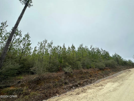 TRACT 6418 N MATTOX SPRINGS ROAD # 1, CARYVILLE, FL 32427 - Image 1