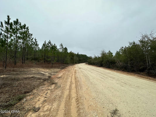 TRACT 6418 S MATTOX SPRINGS ROAD # 4, CARYVILLE, FL 32427, photo 4 of 5