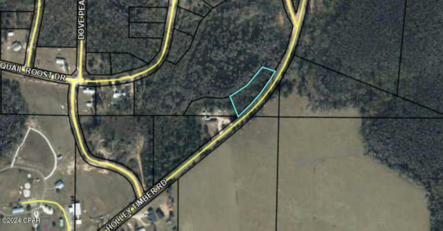 000 HOLLEY TIMBER ROAD, COTTONDALE, FL 32431 - Image 1