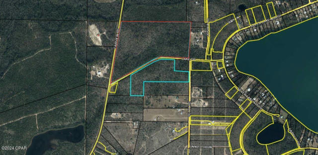 44 ACRES HWY 167 AND LAKE DR, MARIANNA, FL 32448, photo 4 of 12