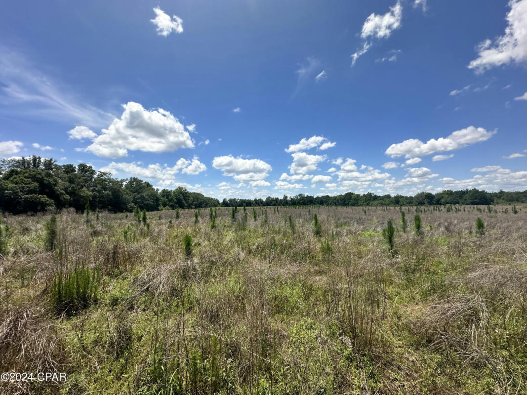 0 WELCOME CHURCH ROAD, SNEADS, FL 32460, photo 1 of 17