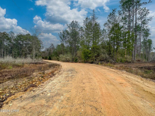 TRACT 6409 W DAVIS ROAD, CARYVILLE, FL 32427, photo 3 of 6