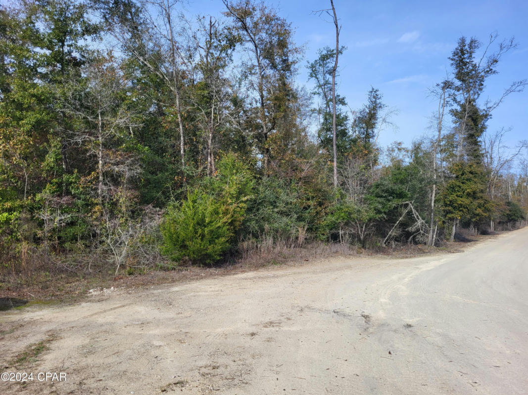 00 WOMBLE ROAD # LOT 7, ALTHA, FL 32421, photo 1 of 13