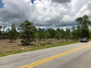 22563 NW LAKE MCKENZIE BLVD, ALTHA, FL 32421, photo 4 of 9