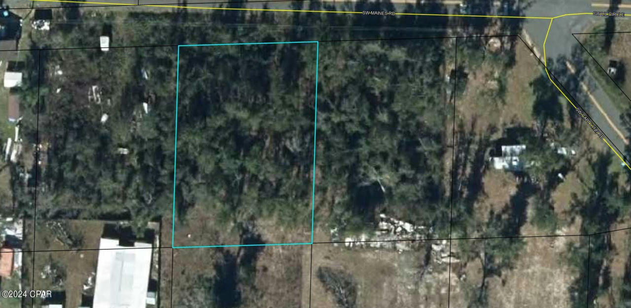 TBD SW MAINES ROAD, KINARD, FL 32449, photo 1