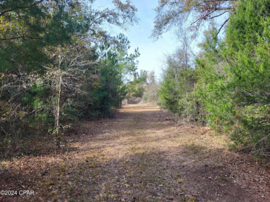 00 WOMBLE ROAD # LOT 7, ALTHA, FL 32421, photo 2 of 13