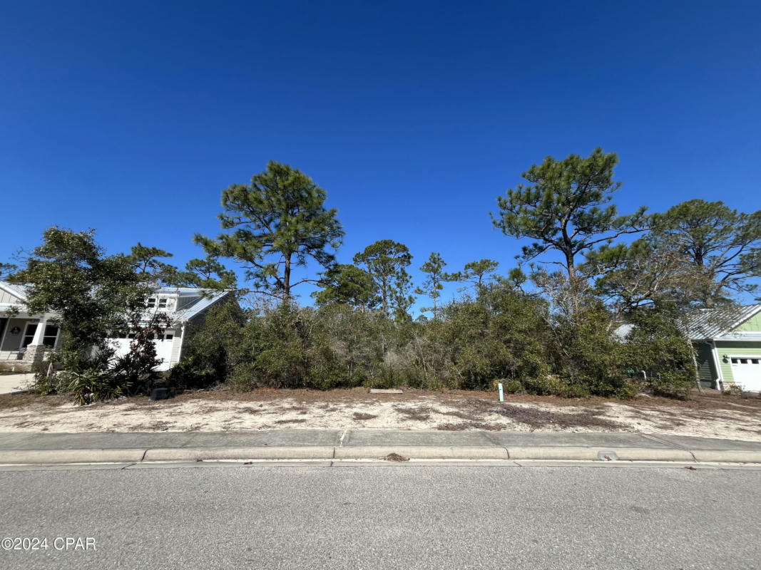 394 ROYAL TERN WAY, CARRABELLE, FL 32322, photo 1 of 14