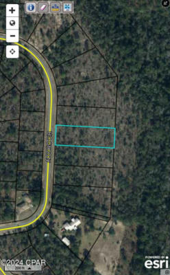 LOT 31 ALDORO CIRCLE, CHIPLEY, FL 32428, photo 5 of 20