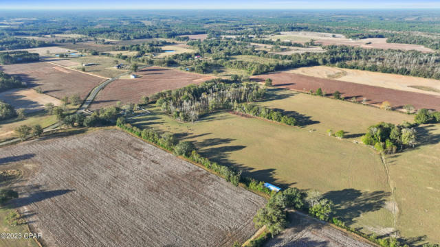 OFF PIANO ROAD, GRACEVILLE, FL 32440, photo 2 of 4