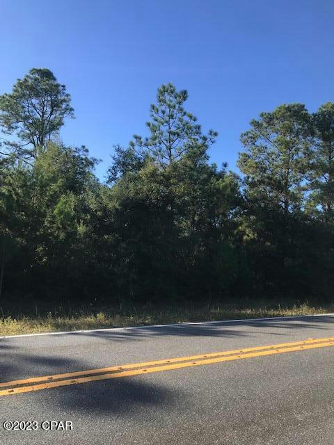 0 FAIRVIEW ROAD # LOT 2 BLK 90, ALFORD, FL 32420, photo 1 of 5