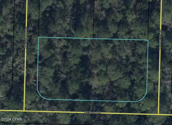 000 CEDAR DRIVE, VERNON, FL 32462 - Image 1