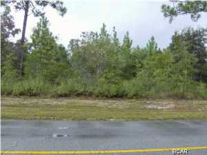LOT 12 LOT 12 VOLTAIRE DRIVE, CHIPLEY, FL 32428, photo 2 of 5