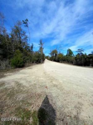 00 WOMBLE ROAD # LOT 7, ALTHA, FL 32421, photo 5 of 13