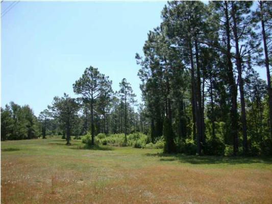 11802 HIGHWAY 77, SOUTHPORT, FL 32409, photo 3 of 7