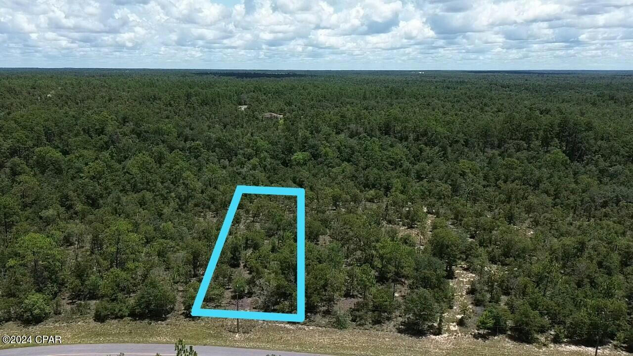 LOT 31 ALDORO CIRCLE, CHIPLEY, FL 32428, photo 1 of 20