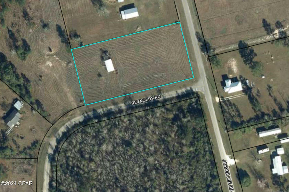 000 JASPER LEE ROAD, WEWAHITCHKA, FL 32465, photo 1