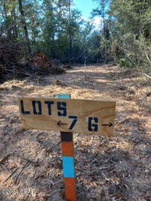 00 WOMBLE ROAD # LOT 7, ALTHA, FL 32421, photo 4 of 13