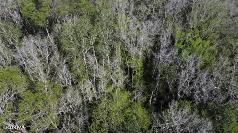 LOT 54 ALDER RD REEDY CREEK CROSSING, WESTVILLE, FL 32464, photo 5 of 10