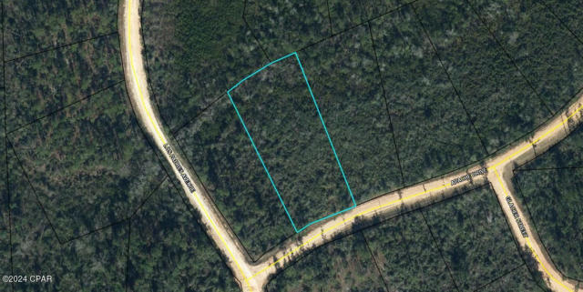 00 APACHE DRIVE, ALFORD, FL 32420 - Image 1