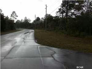 LOT 12 LOT 12 VOLTAIRE DRIVE, CHIPLEY, FL 32428, photo 4 of 5