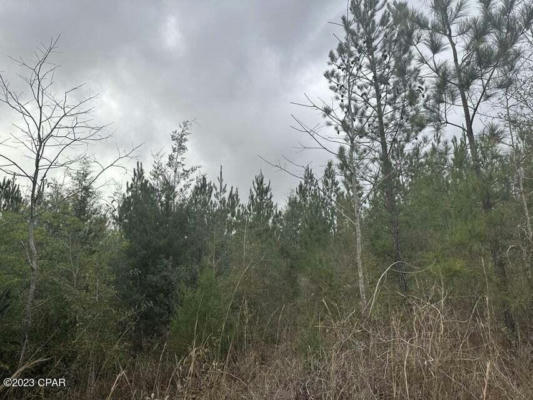 TRACT#6418 SW MATTOX SPRINGS ROAD, CARYVILLE, FL 32427, photo 2 of 3