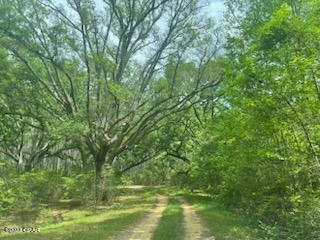 LOT 54 ALDER RD REEDY CREEK CROSSING, WESTVILLE, FL 32464, photo 1 of 10